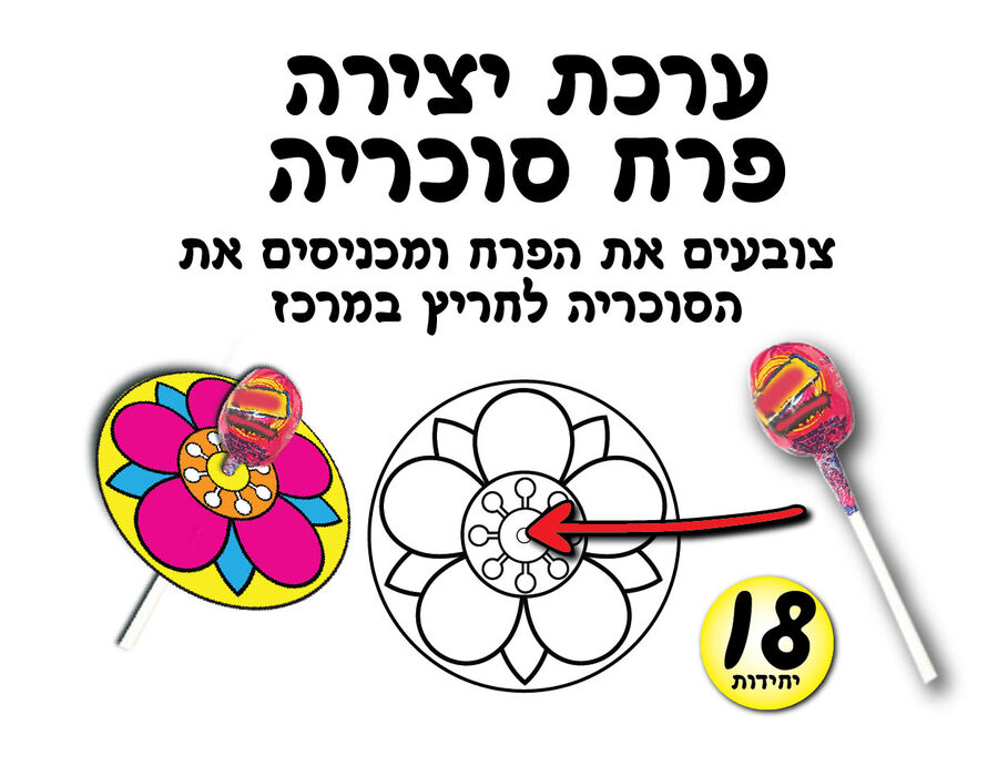 פרח סוכריה 18 יחי