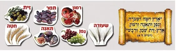 ערכת תוכן שבעת המינים