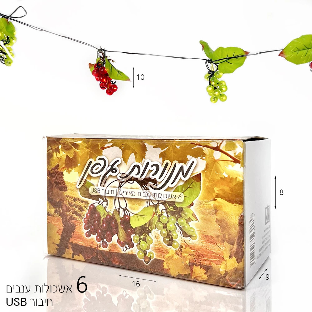 שרשרת מנורות גפן USB