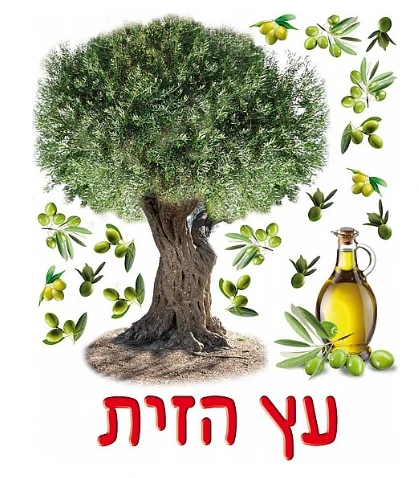 כרזה עץ הזית