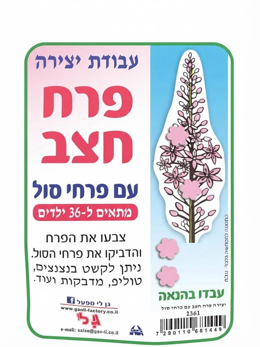יצירה פרח חצב עם פרחי סול 36 יח';