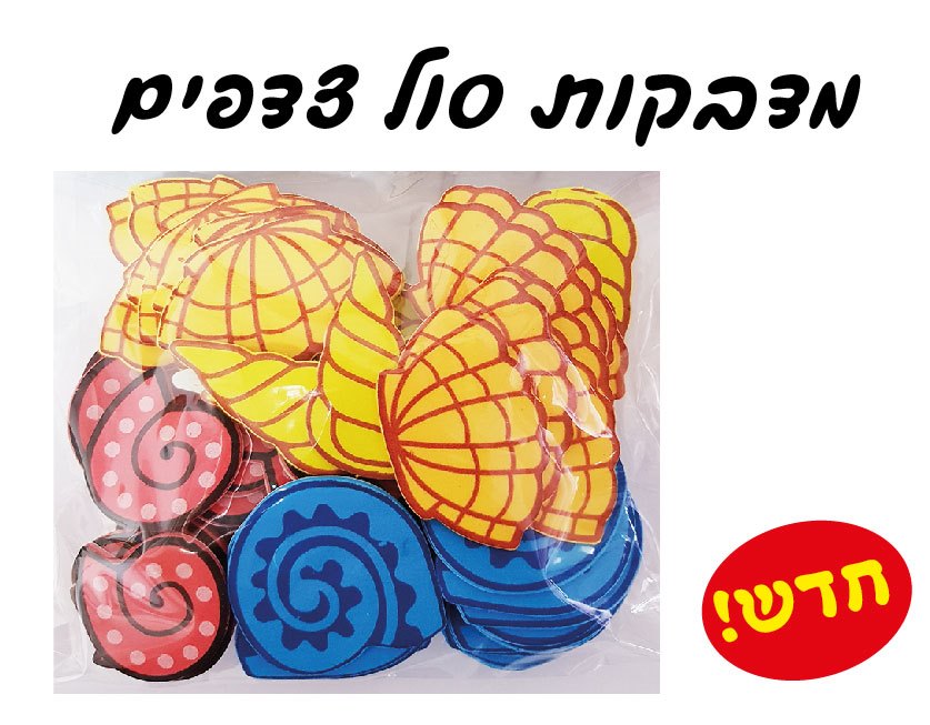 מדבקול סול צדפים