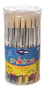 מכחולים