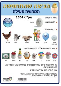 36 יח הביצה שהתחפשה - המחשה פעילה