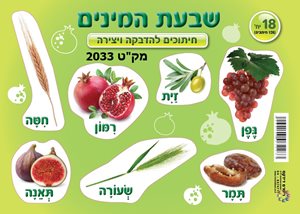 חיתוכים להדבקה ויצירה 18 יחידות