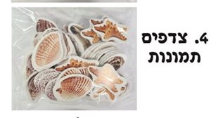 מדבקות סול צדפים קיץ