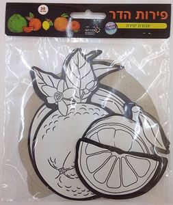 פרות הדר לצביעה 36 יחי- ריטרם דידקט