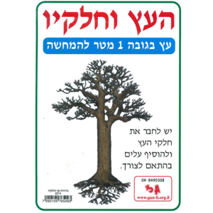 ערכת המחשה וקישוט העץ וחלקיו