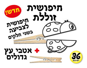 חיפושית זוללת 36 יח