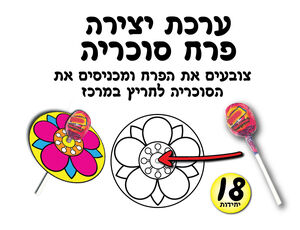 פרח סוכריה 18 יחי