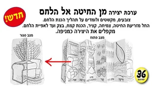 ערכת יצירה " מן החיטה אל הלחם" 36 יחי
