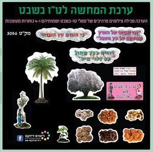 16 ערכת המחשה לטו בשבט
