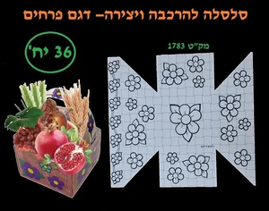 WhatsApp Image 2025-05-05 at 16.59.49.