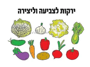 ירקות גינה לצביעה 36 יחידות