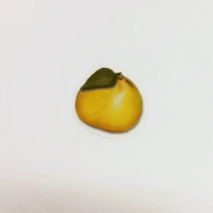 חיתוך קרטון אשכולית 40 יח