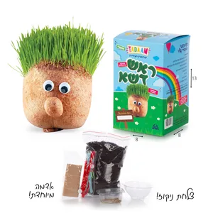 ערכת יצירה ראש דשא