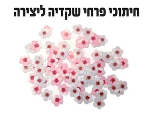 חיתוכי פרחי שקדיה