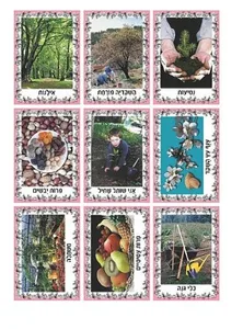 ערכת תמונות ט"ו בשבט