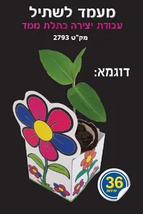 מעמד לשתיל 36 יח'