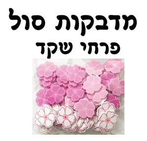 מדבקות סול שקדיה