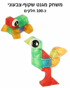 משחק מגנט שקוף צבעוני 100 חלקים