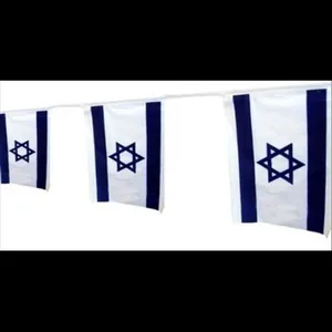 שרשרת דגל ישראל 30*20