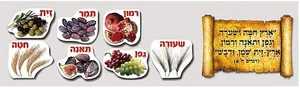 ערכת תוכן שבעת המינים
