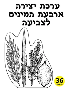 יצירה ארבעת המינים 36 יח'
