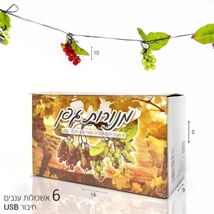 שרשרת מנורות גפן USB