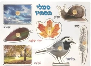פאזל עץ סתיו