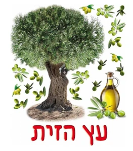 כרזה עץ הזית