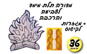 מדורה תלת מימד