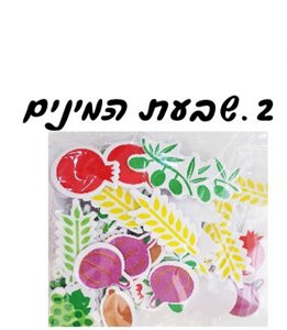 מדבקות סול שבועות 70 יחדות