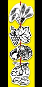 מובייל לצביעה שבעת המינים. 18 יח'