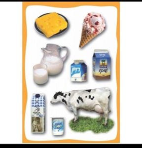 גזירות חלב ומוצריו. 18 יח'