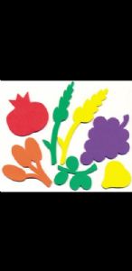 גזירות סול שבעת המינים.