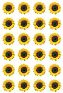 מדבקות חמניות