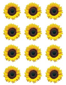 מדבקות חמניות