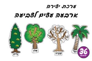 עצים לצביעה 36 יח'