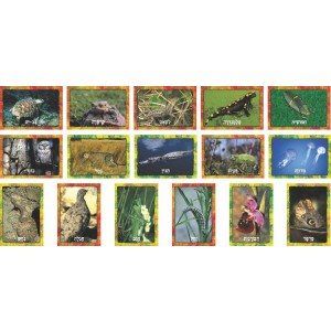 ערכת תמונות תחפושות בטבע