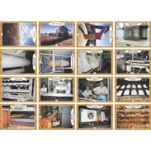 ערכת תמונות ייצור לחם