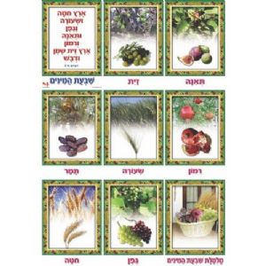ערכת תמונות שבעת המינים