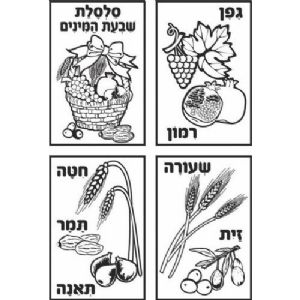 שקפים שבועות