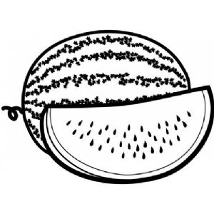 אבטיח לצביעה 18 יח