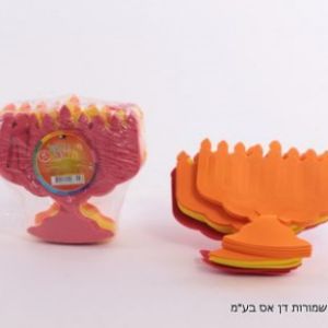 24 חיתוכי סול חנוכיה