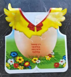 ווסט מודפס אפרוח