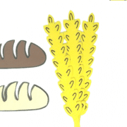 סול חיטה ולחם 20 סטים